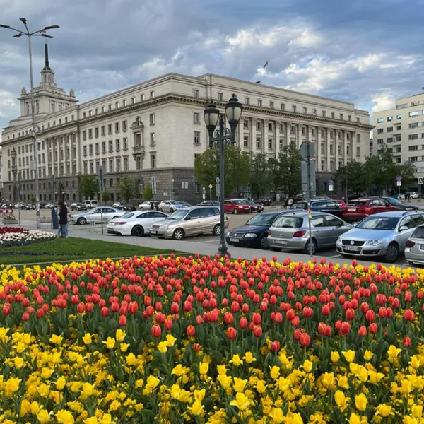 Qualiplant: Ce tipuri de flori și plante sunt potrivite pentru amenajarea spațiilor publice