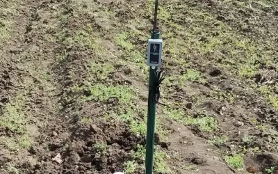 SysAgria Senzor wireless multilevel T/H