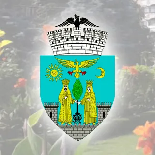 Anunț | Ședință CTATU