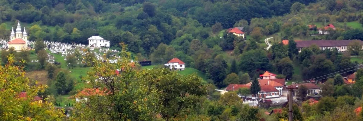 PRIMĂRIA VĂLIŞOARA