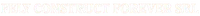 FELY CONSTRUCT FOREVER SRL