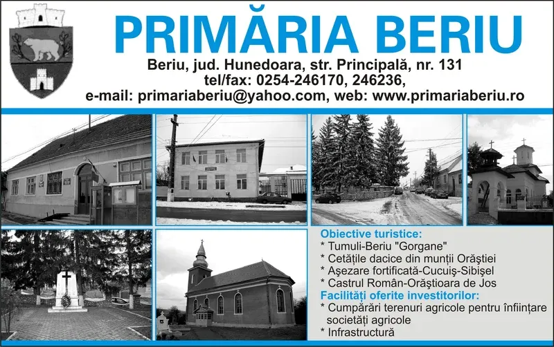 PRIMĂRIA BERIU