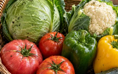 Mix semințe legume Promo PRODUCĂTOR – Pentru fermieri și sere