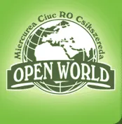 OPEN WORLD SRL