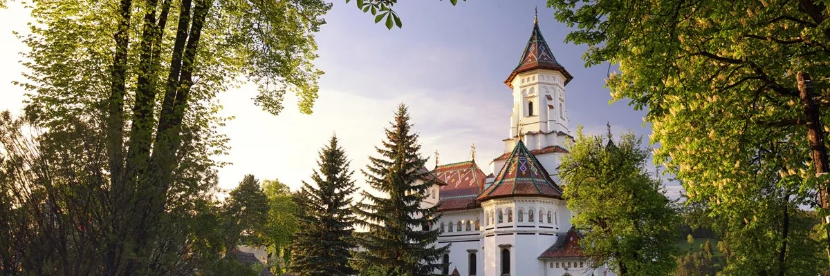 PRIMĂRIA CÂMPULUNG MOLDOVENESC