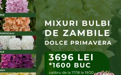 MIX DOLCE PRIMAVERA