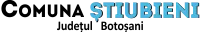 PRIMĂRIA ŞTIUBIENI