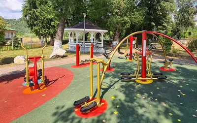 Interviu cu Negotei Alexandra, Sales Manager Lavitex Prod