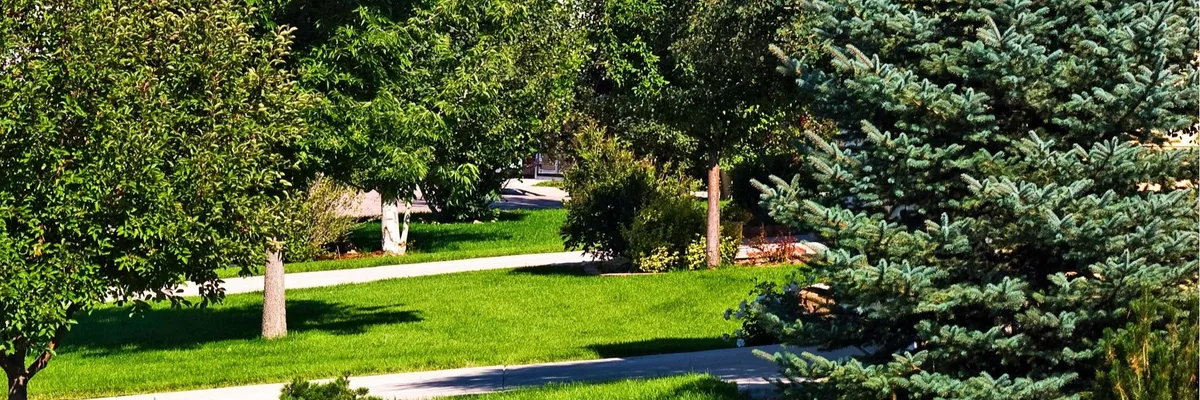 GAMIRO TEHNO PLUS SRL