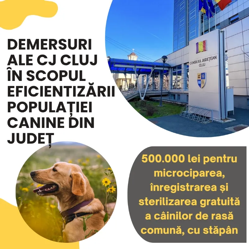 Demersuri ale Consiliului Județean în scopul eficientizării populației canine din județul Cluj