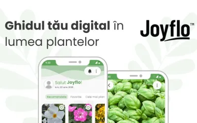 Qualiplant anunță lansarea Joyflo în România