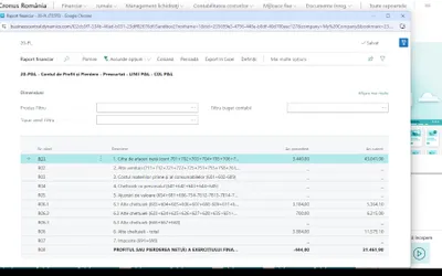 Raportarea Financiară în ERP Microsoft Dynamics 365 Business Central