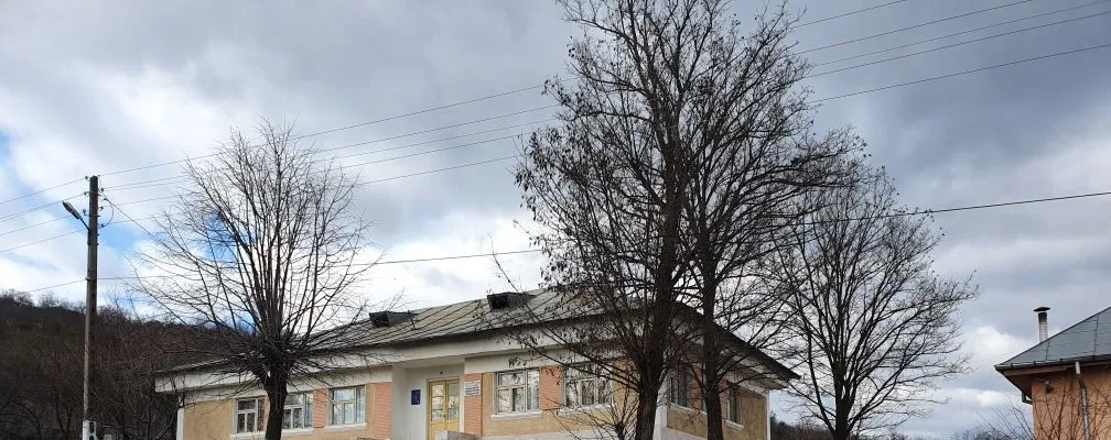 PRIMĂRIA VLĂDEŞTI