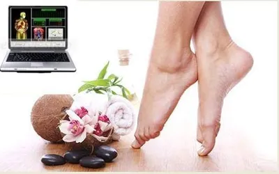 Tratamente naturiste in sprijinul sanatatii tale!