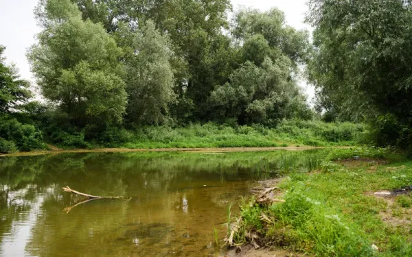 Consiliul Județean Maramureș amenajează o traversare provizorie peste râul Lăpuș între Cătălina și Mocira și accelerează lucrările pe DJ 182B