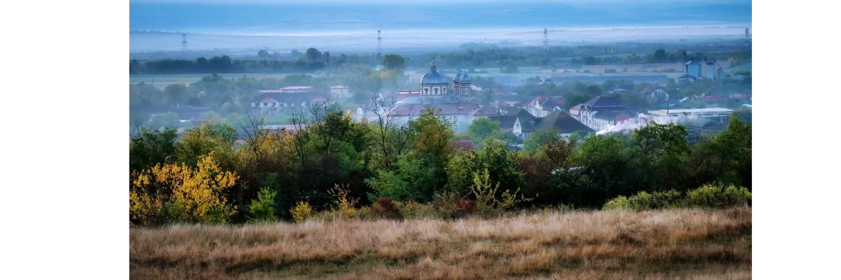 PRIMĂRIA GRĂDINARI