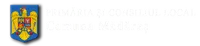PRIMĂRIA MĂDĂRAŞ
