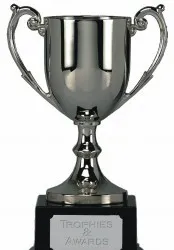 Trofee Cupe Medalii personalizate pentru premieri, evenimente onorifice