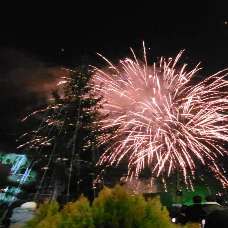 Orașul Ungheni, în straie de sărbătoare!