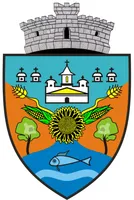 PRIMĂRIA VÂRVORU DE JOS