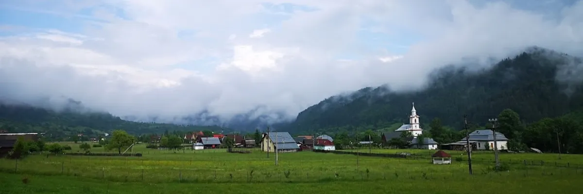 PRIMĂRIA LUNCA BRADULUI