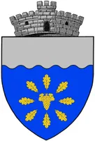 PRIMĂRIA BOBICEŞTI