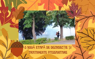 O nouă etapă de dezinsecție și tratamente fitosanitare