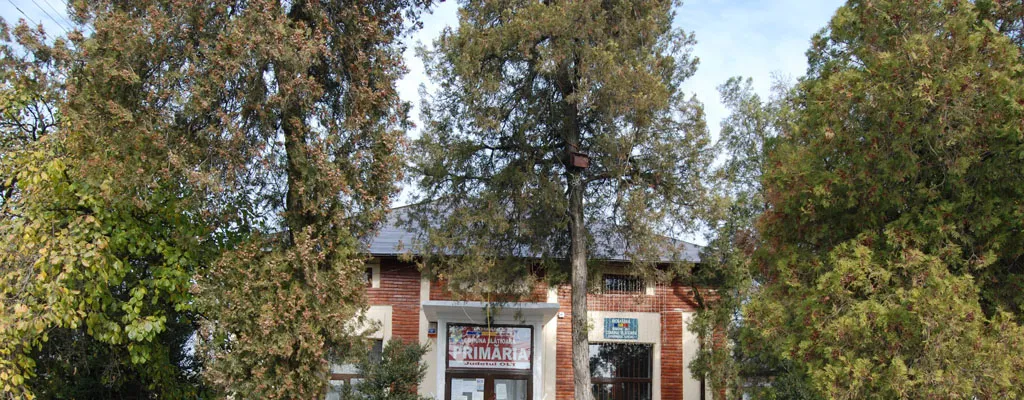 PRIMĂRIA SLĂTIOARA