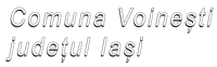 PRIMĂRIA VOINEŞTI
