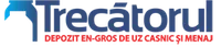 TRECATORUL COM SRL