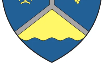 Viziune de primar:  Ing. Tache Constantin, primarul comunei Ghidici, județul Dolj