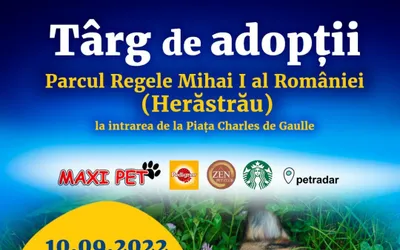 Un nou târg de adopții în Parcul Herăstrău