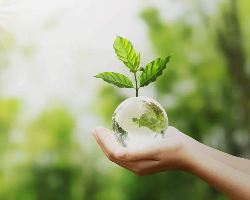 De la deșeu la materie primă. Cum face Expert Recycling managementul și valorificarea deșeurilor