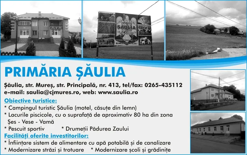 PRIMĂRIA ŞĂULIA
