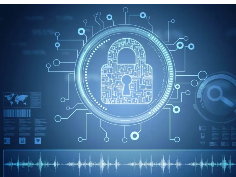 Testarea de Penetrare (Penetration Testing)
