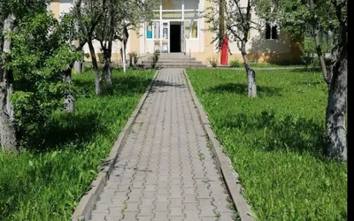 Dezvoltarea comunei Pălatca: investiții și priorități