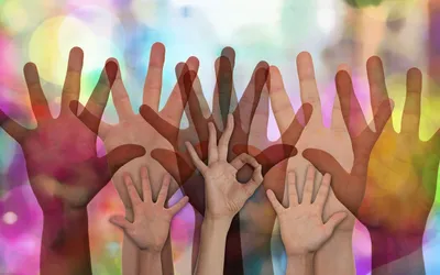 DAS Deva caută voluntari!