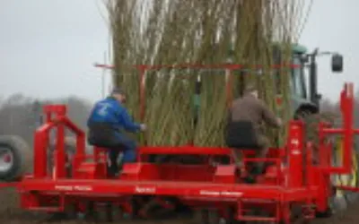 Plantatoare și transplantatoare EGEDAL - pentru pepiniere și plantații, inclusiv de plante energetice