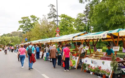 Zilele Recoltei, ediția 2022