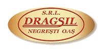DRAGSIL SRL