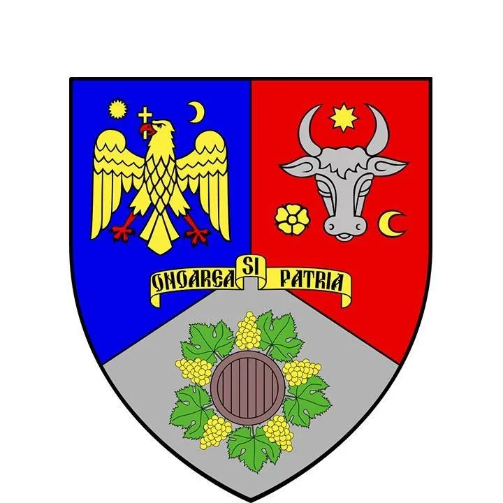 Drumul județean 204D Vulturu-Hânguleşti-Maluri este modernizat: azi s-a făcut  recepția la finalizarea lucrărilor