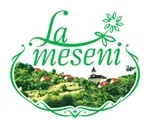 LA MESENI SRL