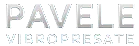 PAVELE VIBROPRESATE SRL