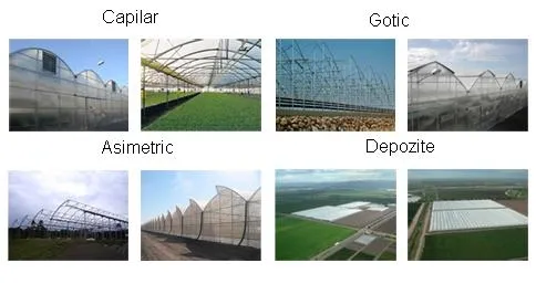 SERE SI SOLARII