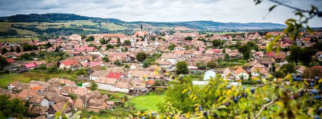 PRIMĂRIA DUMBRĂVENI