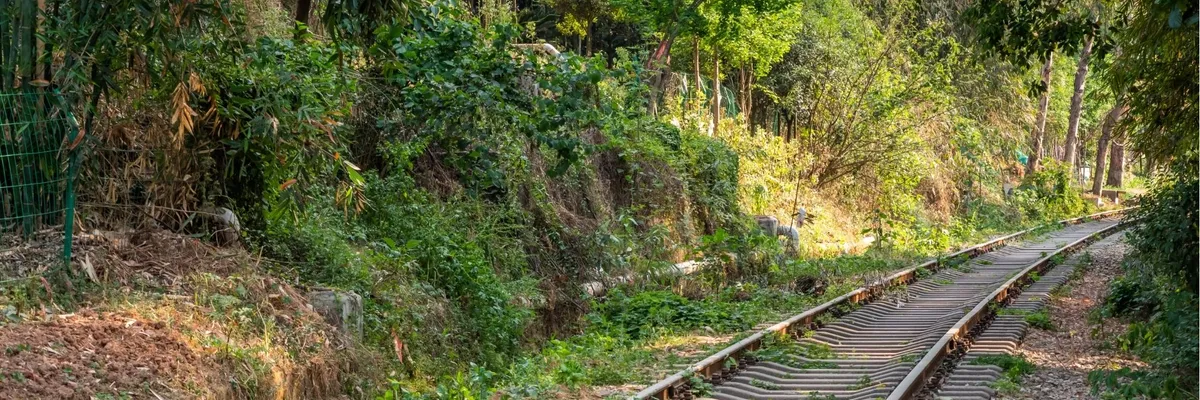 CONSTRUCTII FEROVIARE DRUMURI PODURI SRL