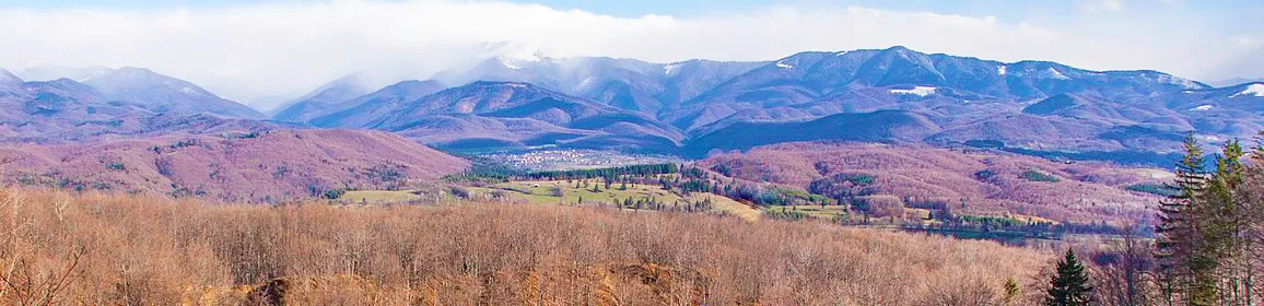 PRIMĂRIA BUGHEA DE JOS