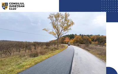 Au demarat lucrările de întreținere pe drumul județean DJ 161E