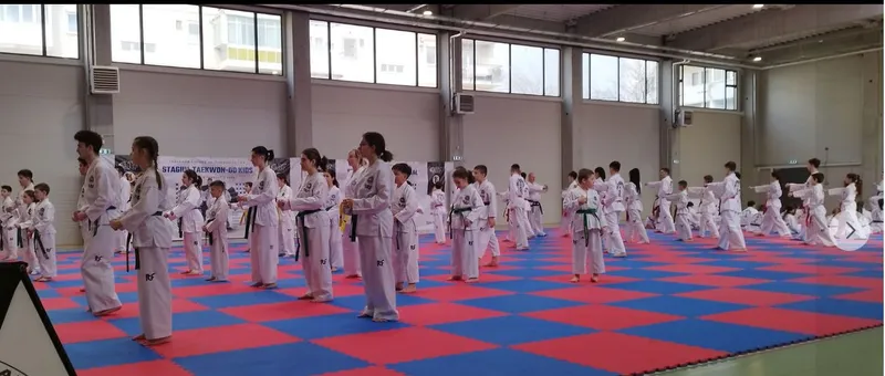 Demonstraţie de taekwon-do în Piața Arras din Deva