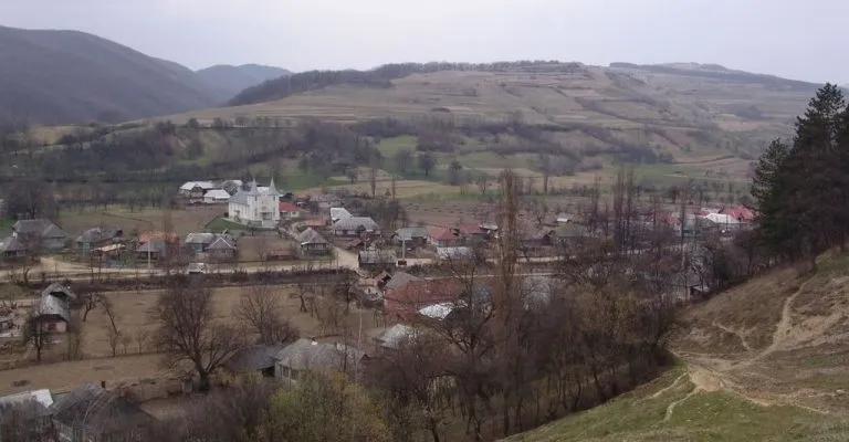 PRIMĂRIA NEGRILEŞTI